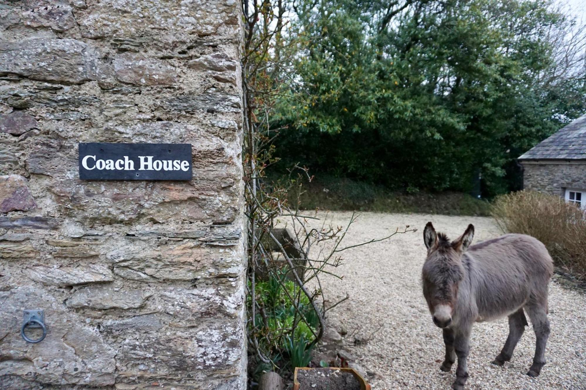 Beachborough Country House Barnstaple Exteriör bild