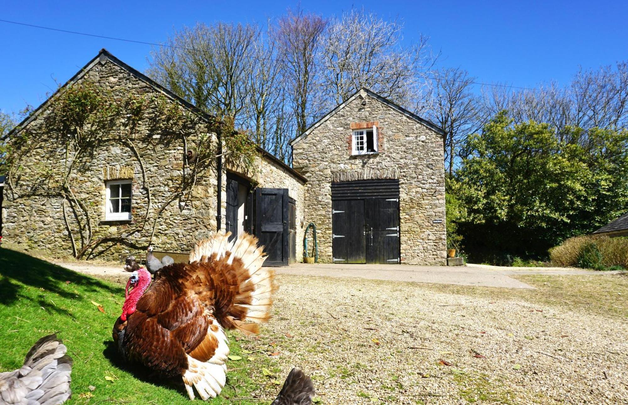 Beachborough Country House Barnstaple Exteriör bild